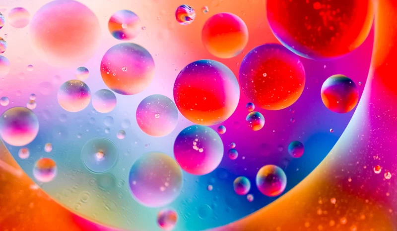 From Damage to Renewal: How Cells Repair, Adapt, and Thrive Over Time