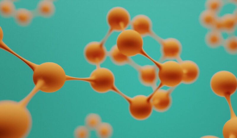 Metabolism Is a Network: Why Cellular Balance Beats Calorie Counting
