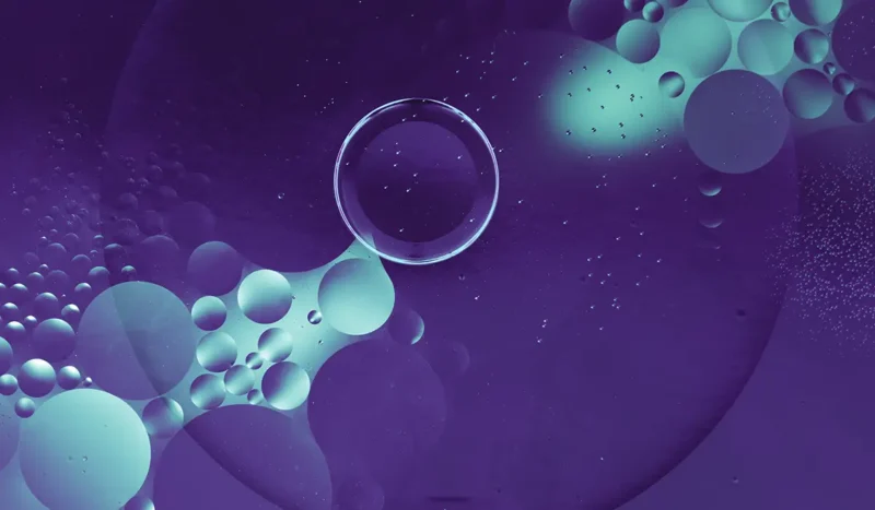 Bioavailability 101: Why Absorption Is the Real Limiting Factor in Supplement Effectiveness
