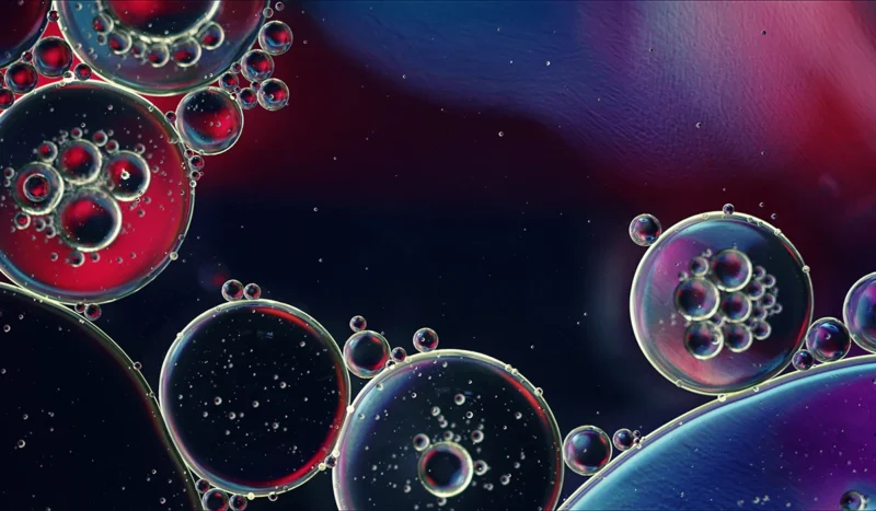 Autophagy Explained: The Cell’s Built-In Renewal and Recycling System