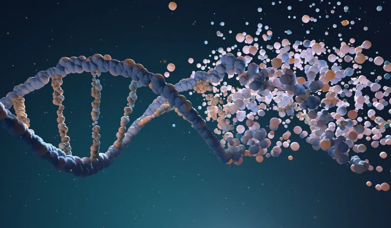 Why Cellular Energy Declines with Age—and What Science Says You Can Do About It
