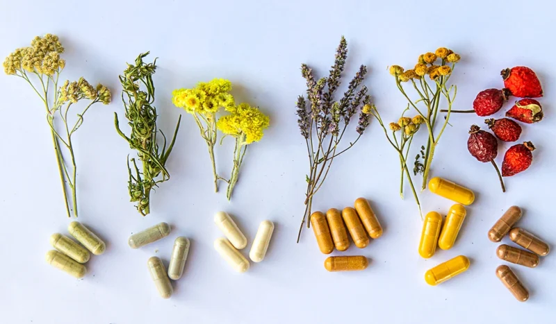 From Plant to Capsule: How Raw Material Quality Shapes Supplement Outcomes